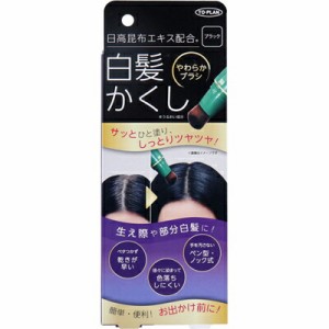 東京企画　トプラン　日高白髪かくし　ブラック　20g　染毛料　ベタつきなし　ペンタイプ