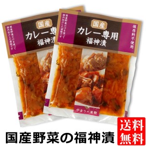 国産野菜のカレー専用 福神漬け 100g×2袋 送料無料 メール便