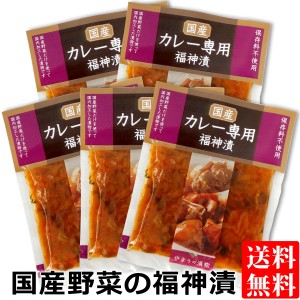 国産野菜のカレー専用 福神漬け 100g×5袋 送料無料 メール便