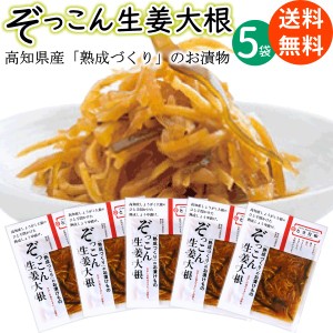 高知産 無添加 熟成きざみ 醤油漬け ぞっこん 生姜大根 とさ日和 80g×5袋 送料無料 メール便