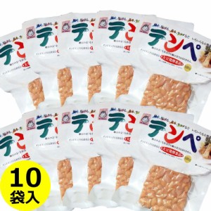 ヤマク テンペ  100g×10袋 送料無料 (条件付き)