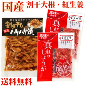 割干大根・真紅のしょうがセット お試しメール便 送料無料  (国産 沢庵 高知生姜)