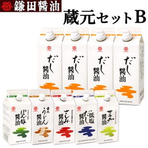 鎌田醤油 蔵元セットB (だし醤油  うどん醤油 サラダ醤油など 計9本) 送料無料 (条件付き)