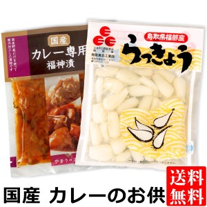 国産 カレー専用 福神漬 ＆ 鳥取県福部産らっきょう メール便 送料無料 ( 国産 漬物 福神漬け らっきょう )