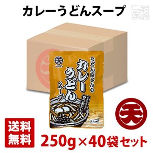 【送料無料】マルテン うどん屋さんのカレーうどんスープ 250g 40袋セット 日本丸天醤油