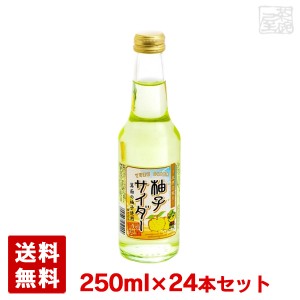 【送料無料】能勢酒造 柚子サイダー 瓶 250ml 24本セット 1ケース ノセソーダ ゆず 飲料 地サイダー