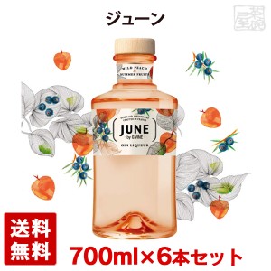 ジューン 30度 700ml 6本セット リキュール フランス