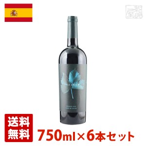 ベガマル・レセルバ 750ml 6本セット 赤ワイン スペイン 送料無料