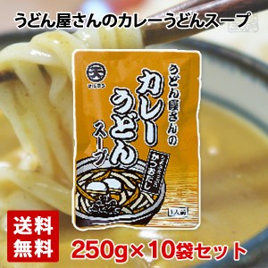 【送料無料】マルテン うどん屋さんのカレーうどんスープ 250g 10袋セット 日本丸天醤油 ※賞味期限2025年2月20日