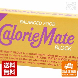 大塚製薬 カロリーメイト ブロック メープル味 2本 x20個 【送料無料 同梱不可 別倉庫直送】