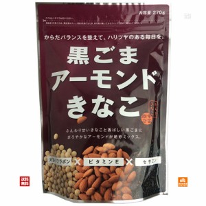 幸田商店 黒ごまアーモンドきなこ 270g x10 セット 【送料無料 同梱不可 別倉庫直送】