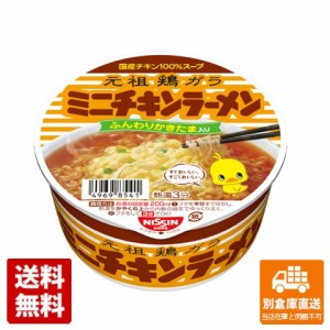 日清食品 チキンラーメン どんぶりミニ 38g x12個【送料無料 同梱不可 別倉庫直送】