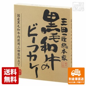 三田屋総本家 黒毛和牛のビーフカレー 210g x10 セット 【送料無料 同梱不可 別倉庫直送】