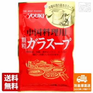 ユウキ ガラスープ 袋入り 100g x10 セット 【送料無料 同梱不可 別倉庫直送】