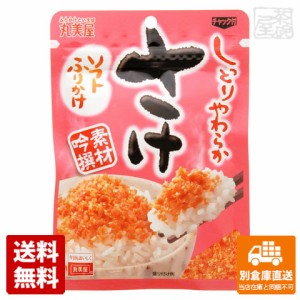 丸美屋 ソフトふりかけ さけ 28g x10 セット 【送料無料 同梱不可 別倉庫直送】