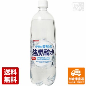 サンガリア 伊賀の天然水 強炭酸水ペット 1L x 12本 【送料無料 同梱不可 別倉庫直送】