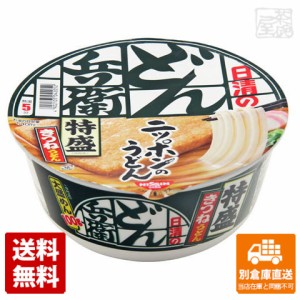 日清食品 どん兵衛 特盛きつねうどん 131g x 12個 【送料無料 同梱不可 別倉庫直送】