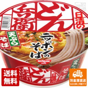 日清食品 どん兵衛 天ぷらそば 東 カップ 100g x 12個 【送料無料 同梱不可 別倉庫直送】