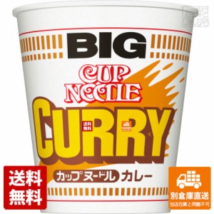 日清食品 カップヌードル カレー ビッグ 120g x 12個 【送料無料 同梱不可 別倉庫直送】