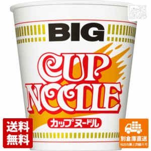 日清食品 カップヌードル ビッグ 100g x 12個 【送料無料 同梱不可 別倉庫直送】