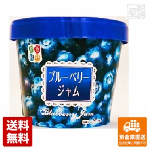 スドー 感動素材 ブルーベリージャム紙 135g x12 セット 【送料無料 同梱不可 別倉庫直送】