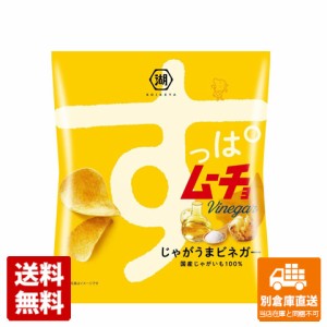 湖池屋 すっぱムーチョチップス さっぱりビネガー 55g x12 セット 【送料無料 同梱不可 別倉庫直送】