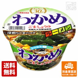 エースコック わかめラーメンごま・しょう 93g x12個 【送料無料 同梱不可 別倉庫直送】