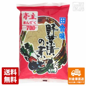 大川食品 野菜漬の素 700g x20 セット 【送料無料 同梱不可 別倉庫直送】