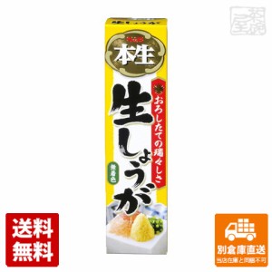 S&B エスビー 本生 生しょうが 40g x10 セット 【送料無料 同梱不可 別倉庫直送】