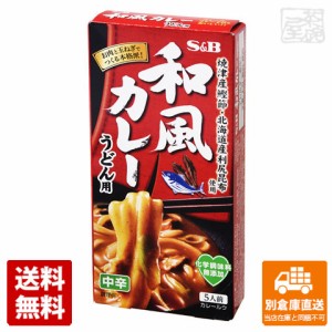 S&B エスビー 和風カレーうどん用 中辛 110g x 10個 【送料無料 同梱不可 別倉庫直送】