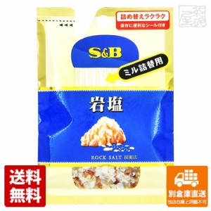 S&B エスビー 岩塩 ミル詰替用 袋 36g x10 セット 【送料無料 同梱不可 別倉庫直送】