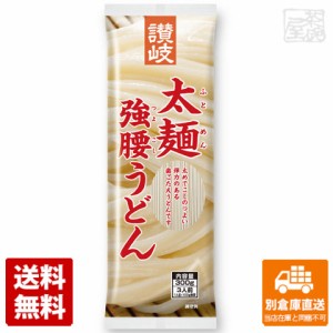 さぬきシセイ 讃岐 太麺強腰うどん 300g x20袋 【送料無料 同梱不可 別倉庫直送】