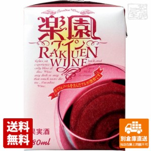 清洲桜醸造 楽園ワイン 赤 ミニパック 180ml×1本  【送料無料 同梱不可 別倉庫直送】