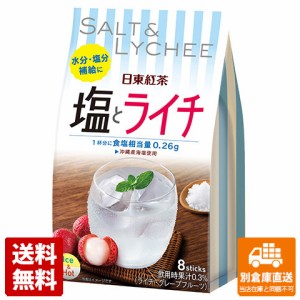 日東紅茶 塩とライチ 9.8gX8x6 【送料無料 同梱不可 別倉庫直送】