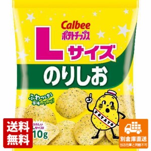 カルビー ポテトチップスのりしおＬサイズ 110g x 12 【送料無料 同梱不可 別倉庫直送】