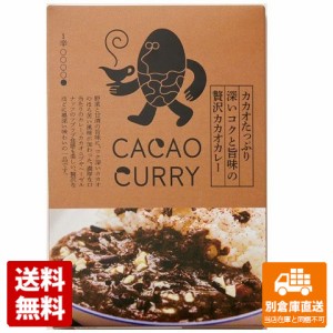 GOOD NATURE MARKET カカオたっぷりコク旨味カカオカレー 180g x 10 【送料無料 同梱不可 別倉庫直送】