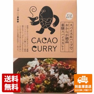 GOOD NATURE MARKET スパイスハーブおから絶品薬膳カレー 180g x 10 【送料無料 同梱不可 別倉庫直送】