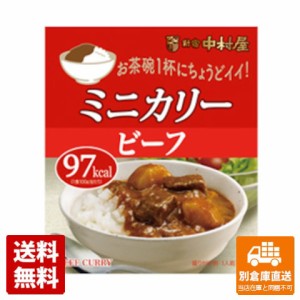 中村屋 ミニカリービーフ 100g x 10 【送料無料 同梱不可 別倉庫直送】