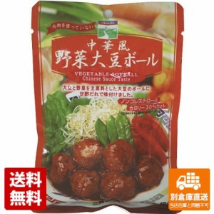 三育 中華風野菜大豆ボール 100g x 15 【送料無料 同梱不可 別倉庫直送】