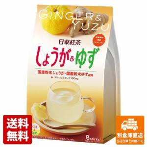 日東紅茶 しょうが＆ゆず 9.8gx 8 x 6 【送料無料 同梱不可 別倉庫直送】