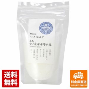 マスコット 高知室戸産 深層海水塩 100g x 24 【送料無料 同梱不可 別倉庫直送】