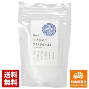 マスコット クリスタルソルト 100g x 24 【送料無料 同梱不可 別倉庫直送】