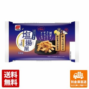 三幸製菓 塩揚屋 100g x 12 【送料無料 同梱不可 別倉庫直送】