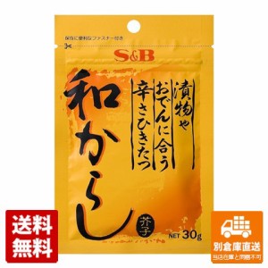 S&B 漬物やおでんに合う和からし 30g x 10 【送料無料 同梱不可 別倉庫直送】