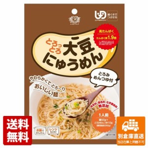 田靡製麺 とろっとろ大豆にゅうめん 60g x 10 【送料無料 同梱不可 別倉庫直送】