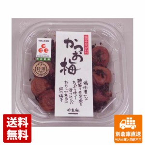 マルヤマ食品 うす塩味 紀州かつお梅 角カップ 180g x 12 【送料無料 同梱不可 別倉庫直送】