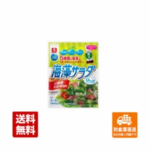 理研 乾燥 海草サラダ 10g x 10 【送料無料 同梱不可 別倉庫直送】