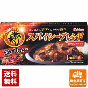 ハウス ジャワカレー スパイシーブレンド 191g x 10 【送料無料 同梱不可 別倉庫直送】