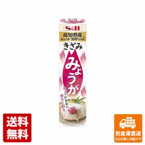 Ｓ＆Ｂ きざみみょうが 38g x 10 【送料無料 同梱不可 別倉庫直送】