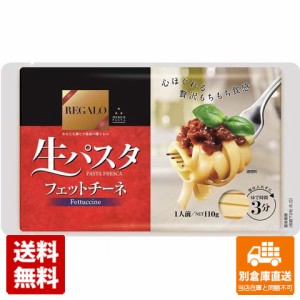 ニップン レガーロ生パスタフェットチーネ 110g x 12 【送料無料 同梱不可 別倉庫直送】